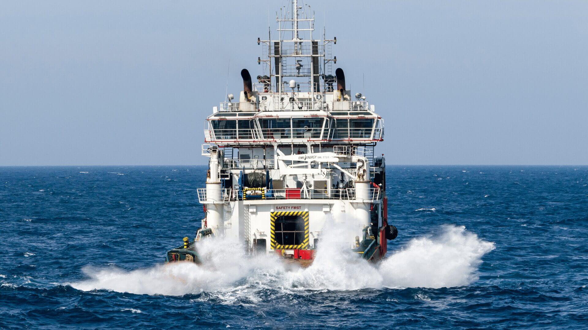 High seas treaty 2025