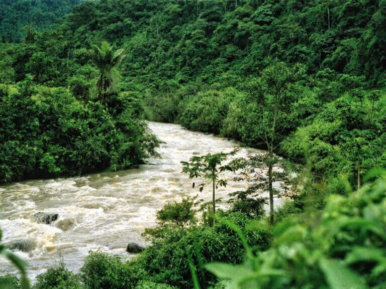 cop30 2025 brasil in Amazonia