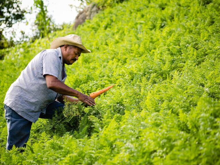 Honduras and climate change