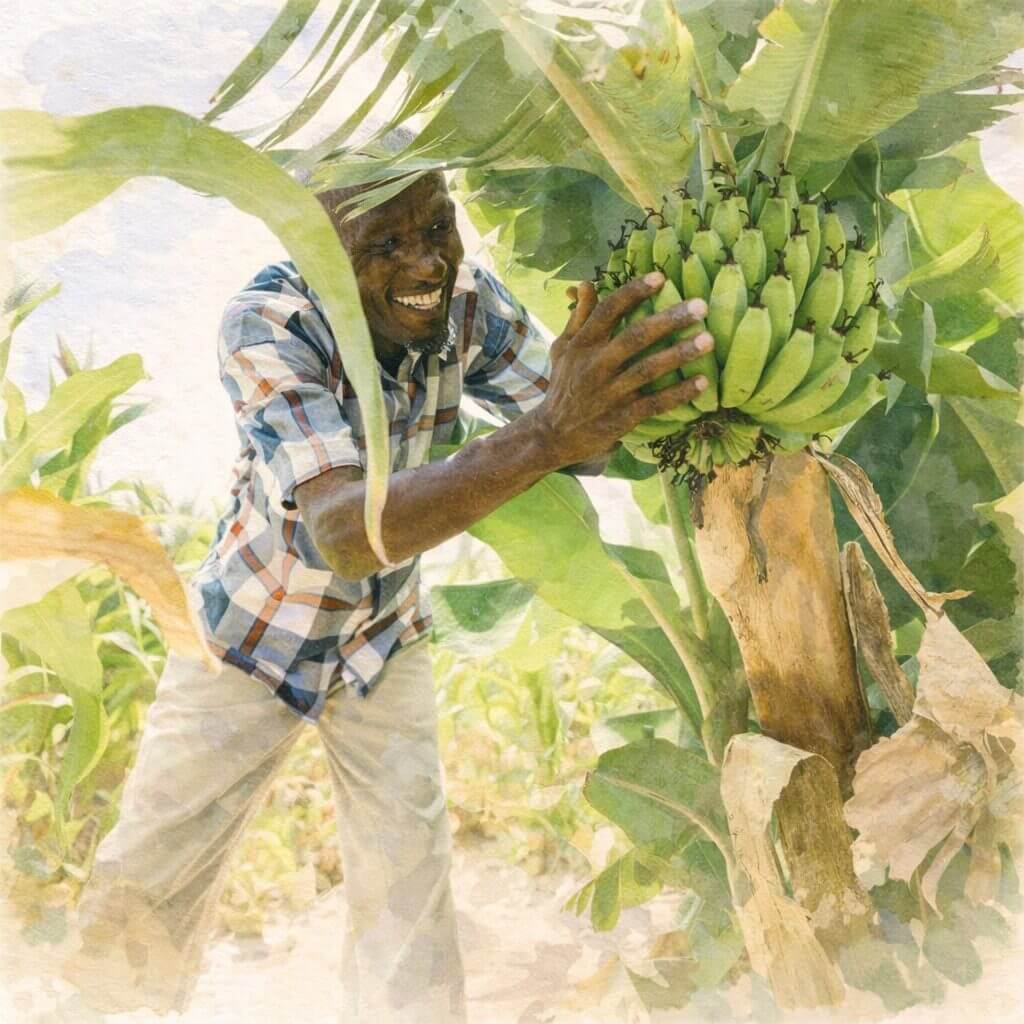 Man planting a tree as part of a reforestation project, showing how individuals and businesses can plant trees through Bloomy Earth with measurable carbon impact and support for local communities.