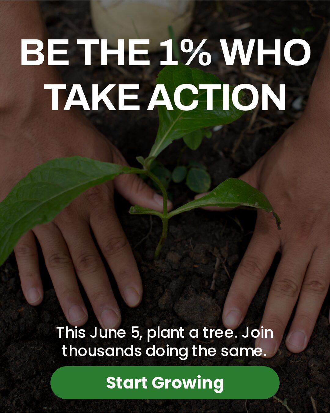 Hand holding a young tree seedling with soil on June 5 for verified World Environment Day business actions