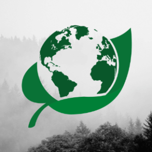 Profile photo of bloomy-earth